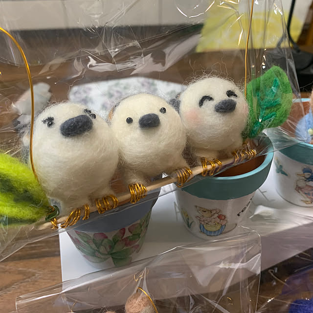 Aqettyさんの部屋
