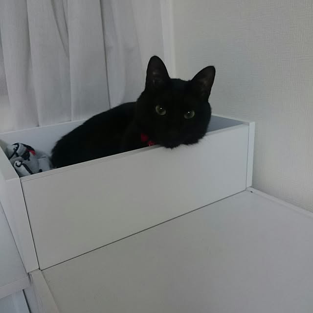 Kさんの実例写真