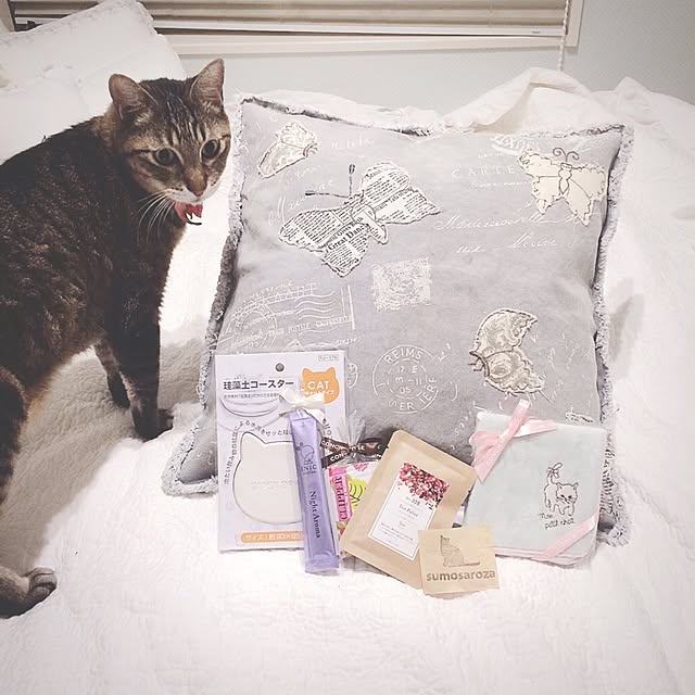 lovecatさんの実例写真