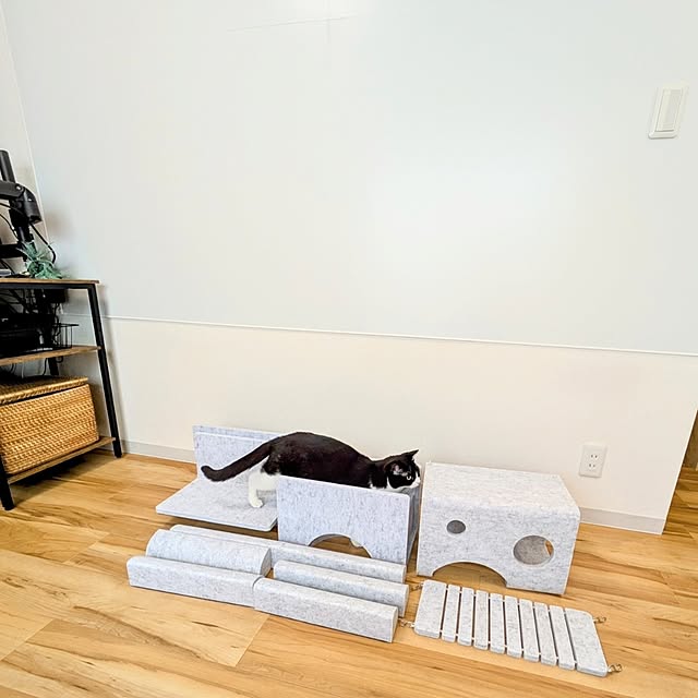 hihaさんの部屋