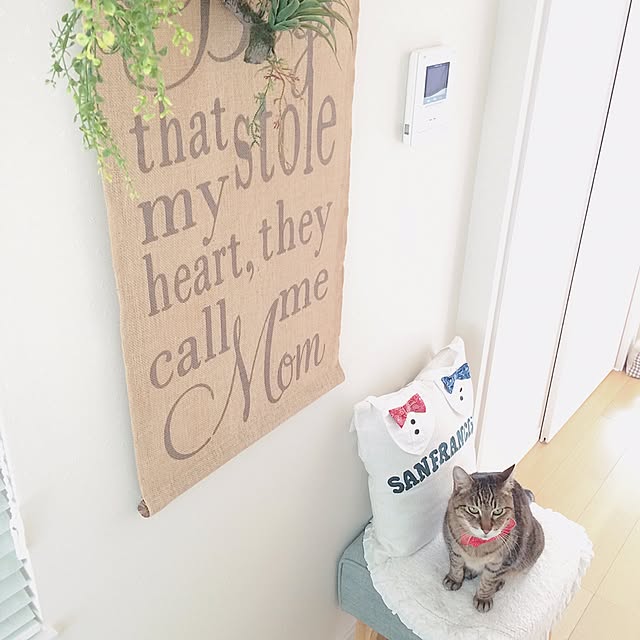 lovecatさんの実例写真