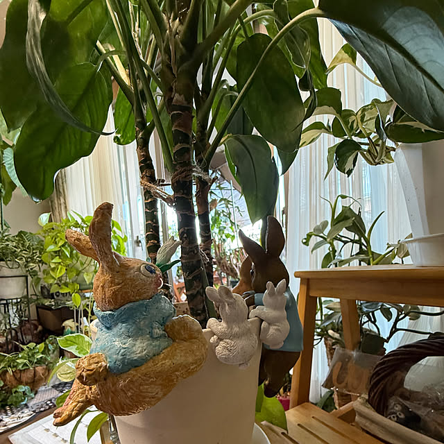 Aqettyさんの部屋