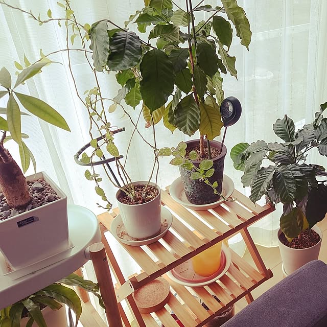 natuyukiさんの部屋