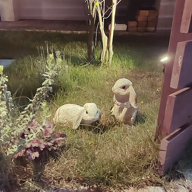 yihomeさんの実例写真