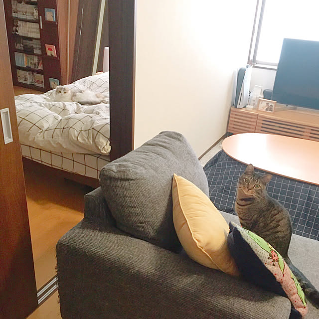 anさんの実例写真