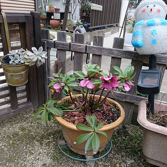 mozuku315さんの実例写真