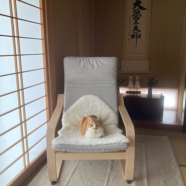 mkmkmoominさんの実例写真