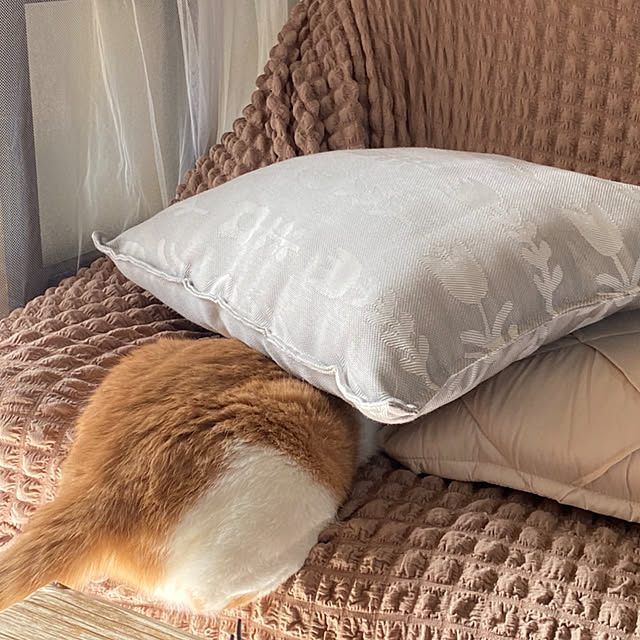 mintteaさんの部屋