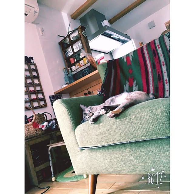 mjさんの実例写真