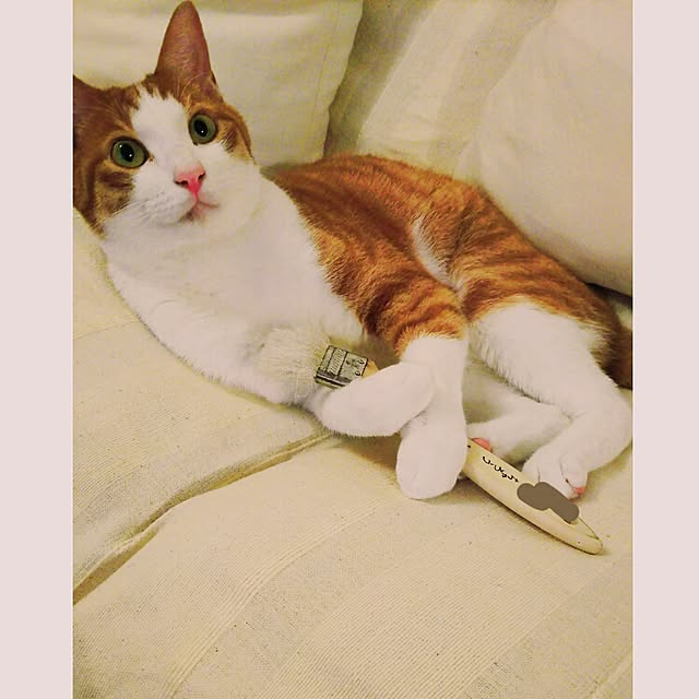tamacharouさんの実例写真