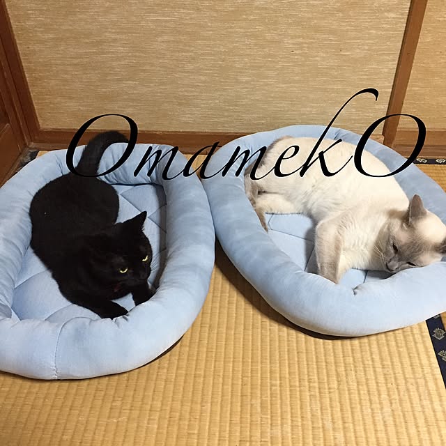 OmamekOさんの実例写真