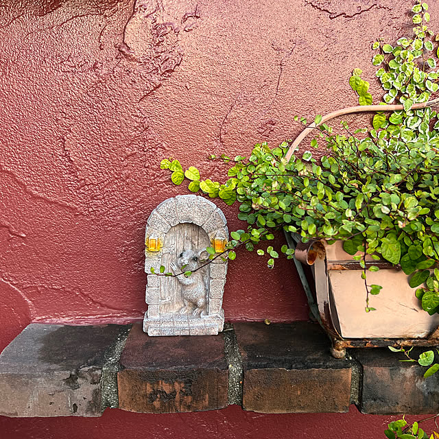 AYUKOさんの実例写真