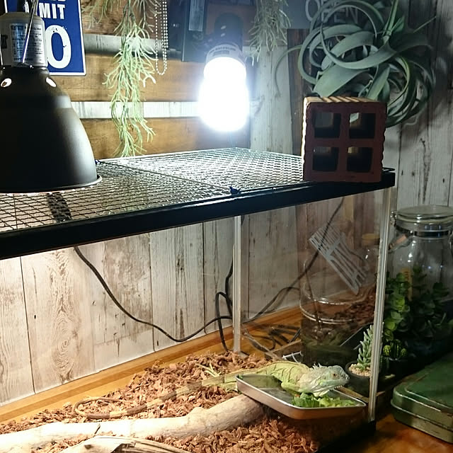 tikuwaさんの実例写真