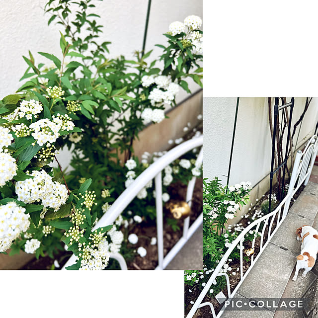 kittyさんの部屋