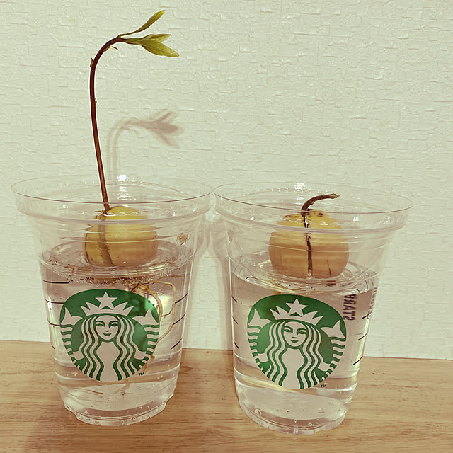 rantarouさんの実例写真
