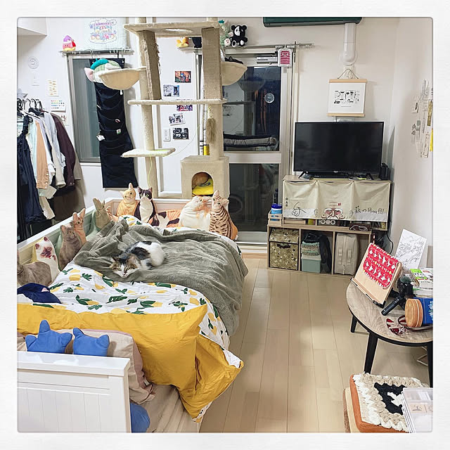 Asakiさんの実例写真