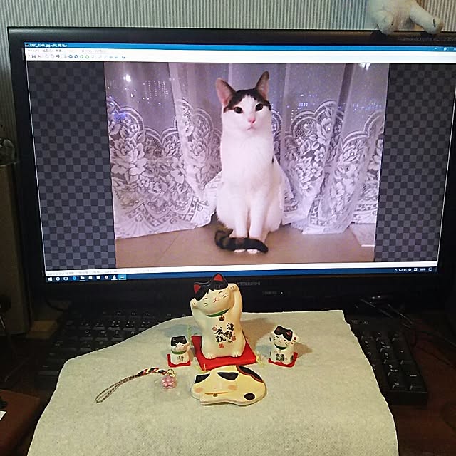 sakuraさんの実例写真