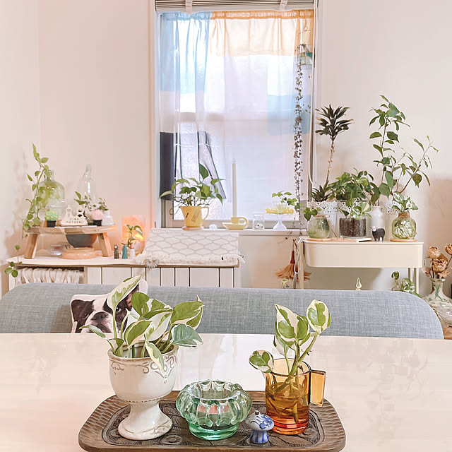 akiko-ovさんの実例写真