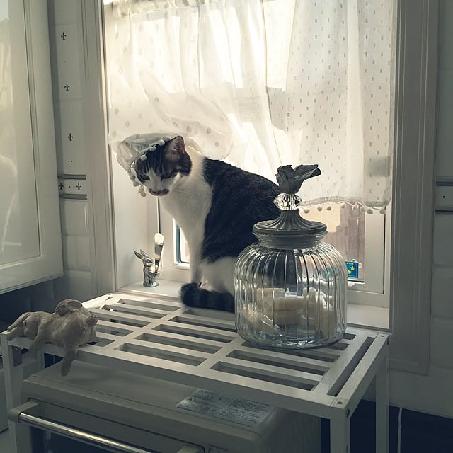 yuchiさんの実例写真