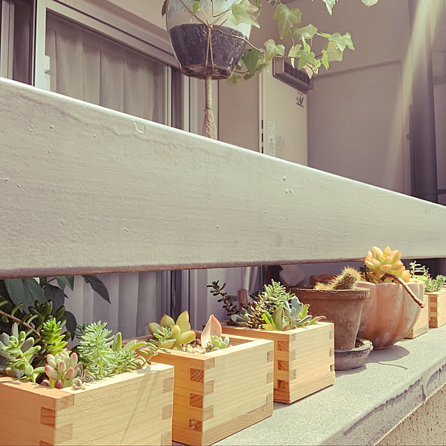 癒しの空間/木のぬくもり/賃貸でも楽しく♪/木目が好き/観葉植物...などのインテリア実例 - 2020-06-02 09:50:54