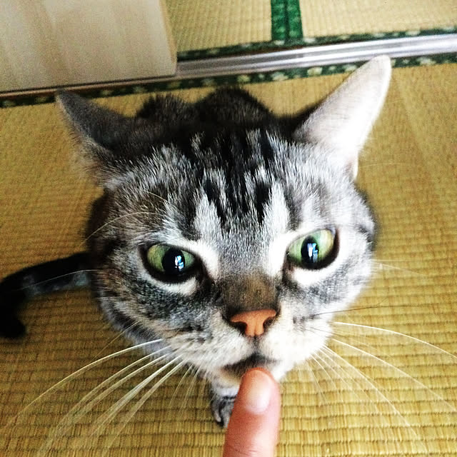 richanさんの実例写真