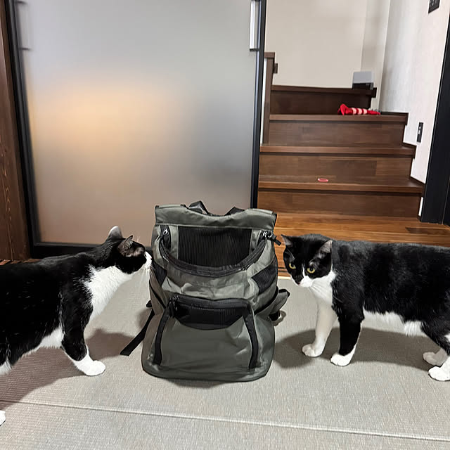 porinさんの実例写真