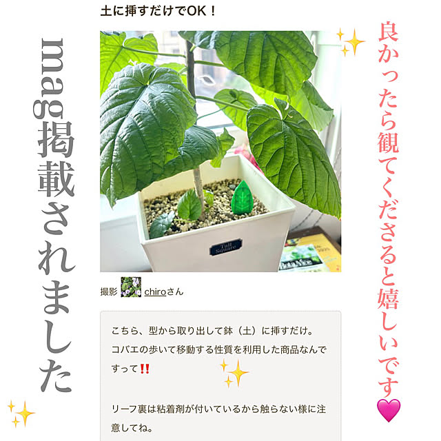 実例写真