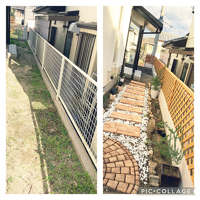 minminさんの実例写真