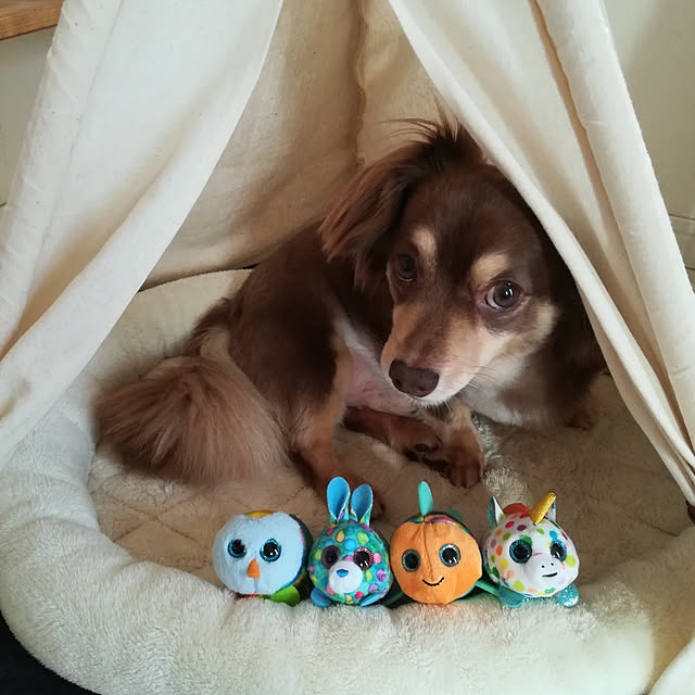 rikakoさんの実例写真