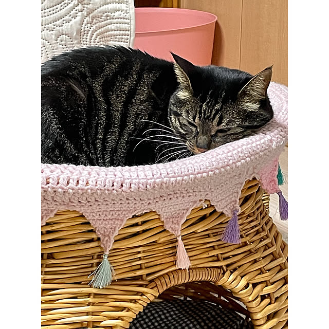 momocchiさんの部屋