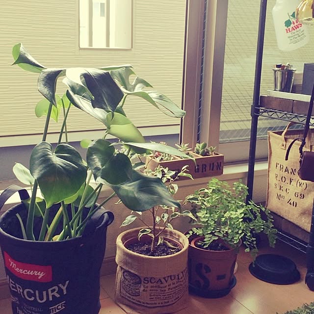 annnkoroさんの実例写真