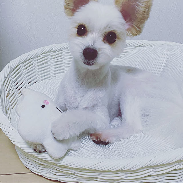tanさんの実例写真