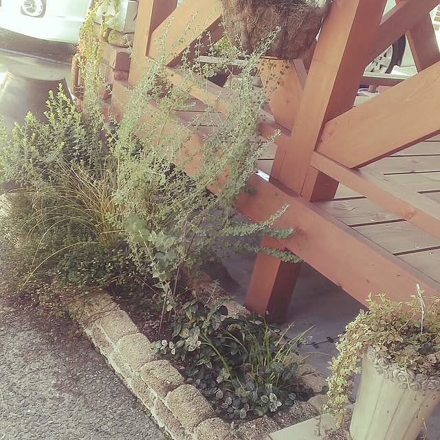 aoaoさんの実例写真