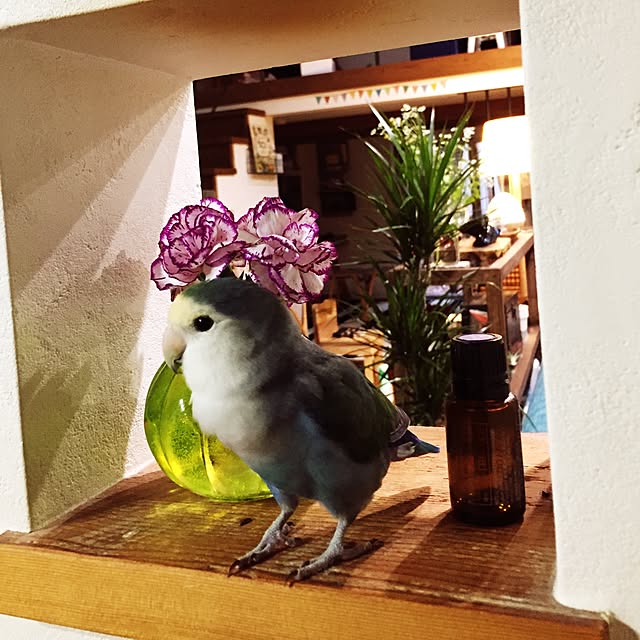 yoko0908さんの実例写真