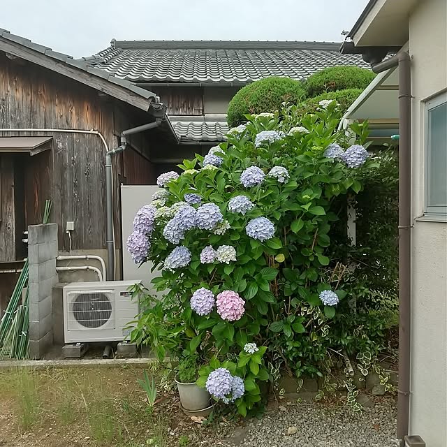 tomomiさんの部屋