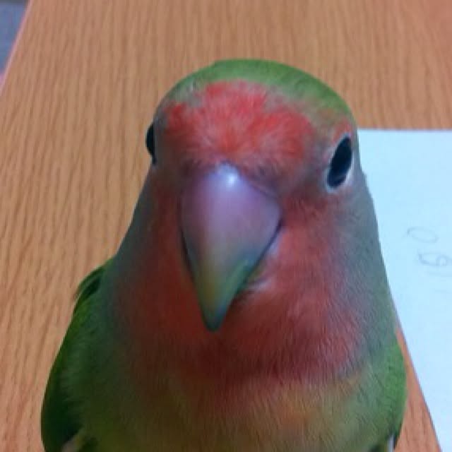 madokaさんの実例写真