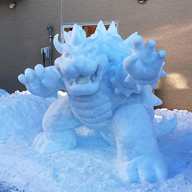 a_skrrさんの実例写真