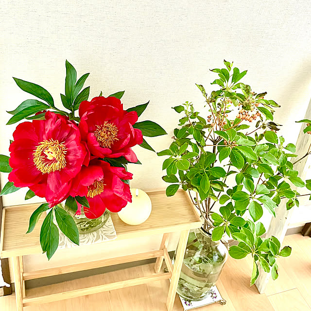 maminさんの部屋