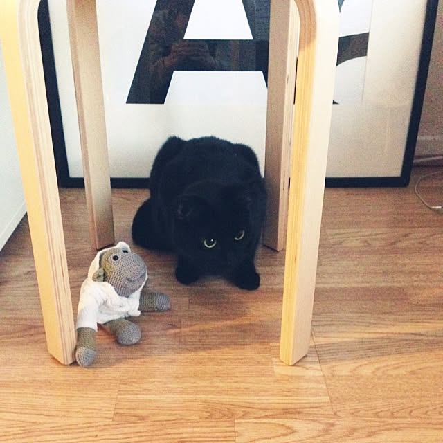 awachan77さんの実例写真