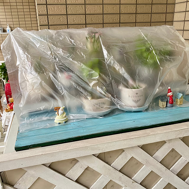 YuuKoさんの実例写真