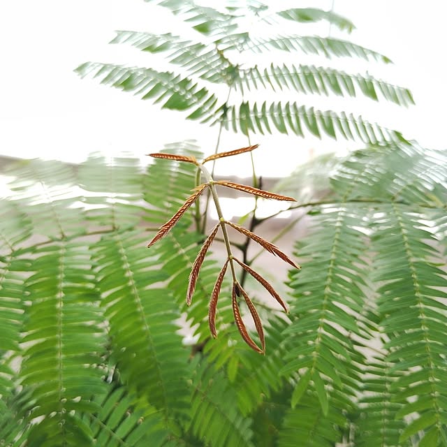 .endさんの部屋