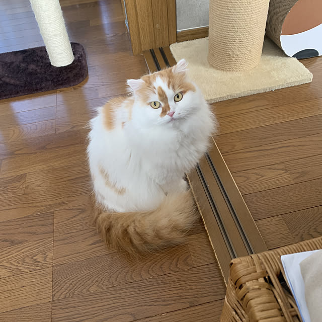 keiさんの実例写真