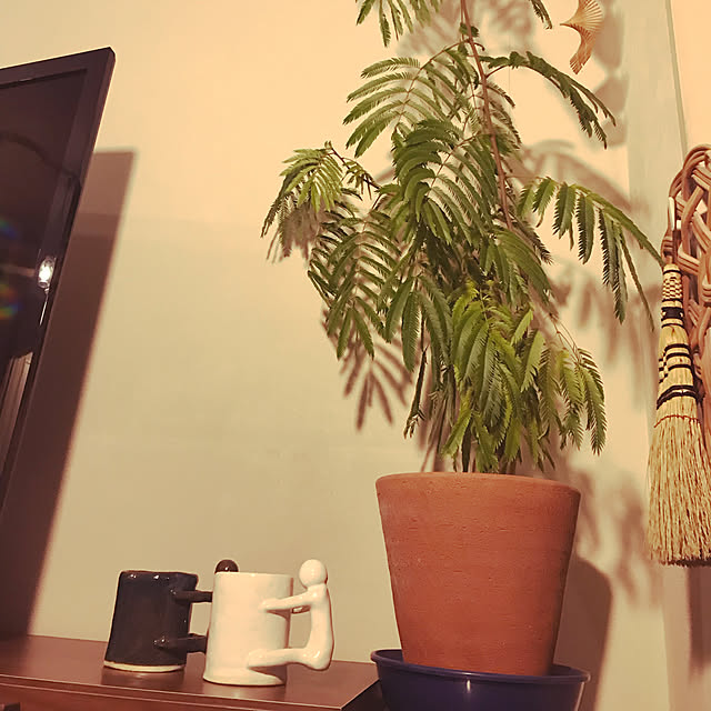 DIY/観葉植物/北欧/カフェ風/照明...などのインテリア実例 - 2019-03-30 02:27:09