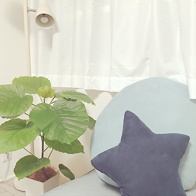 se-aさんの実例写真