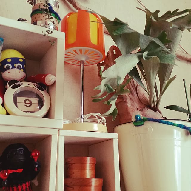 midoさんの実例写真
