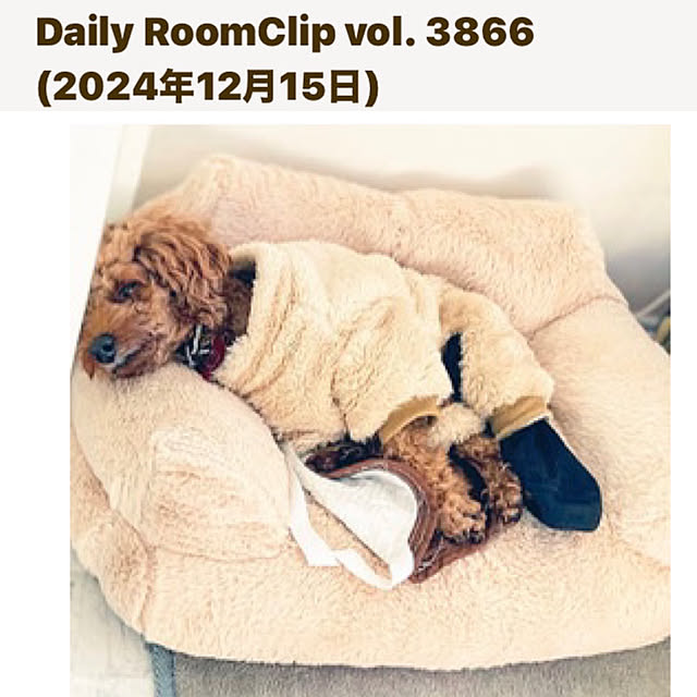 MOMOMAMAさんの実例写真