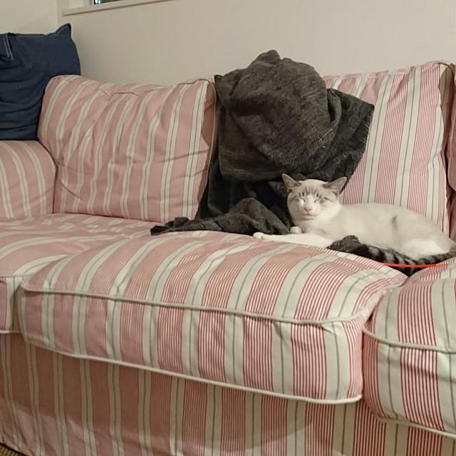 peeekaboooo-jessicaさんの実例写真