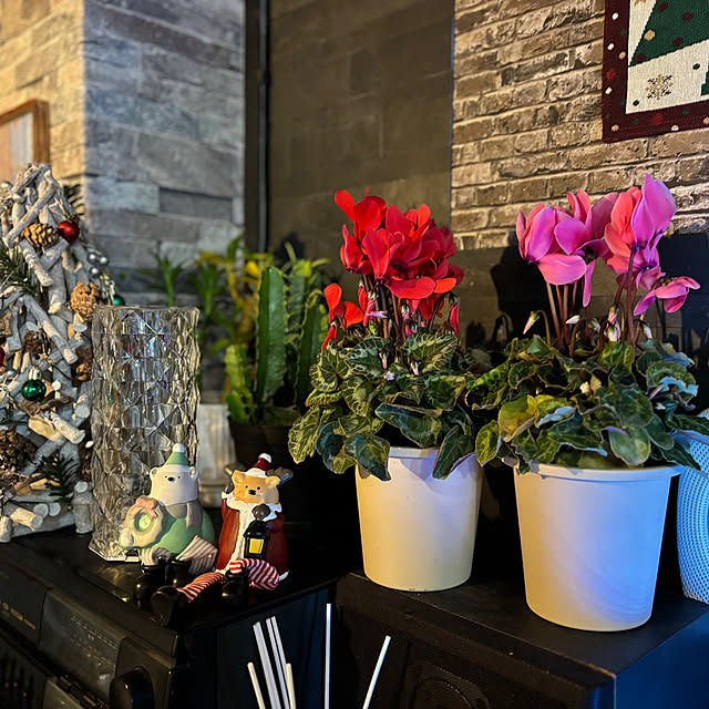 tututu0204さんの部屋