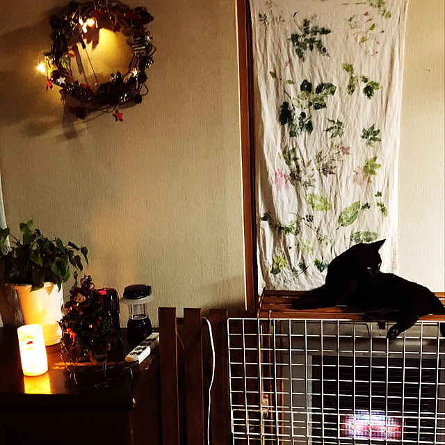 julyさんの実例写真