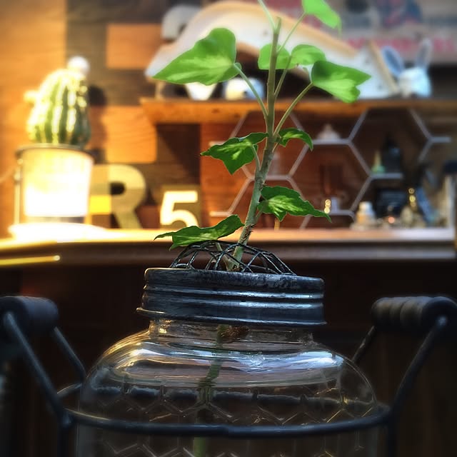 kazuya.designさんの実例写真